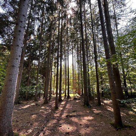 Apartman Na Kraji Lesa Vsemina Экстерьер фото