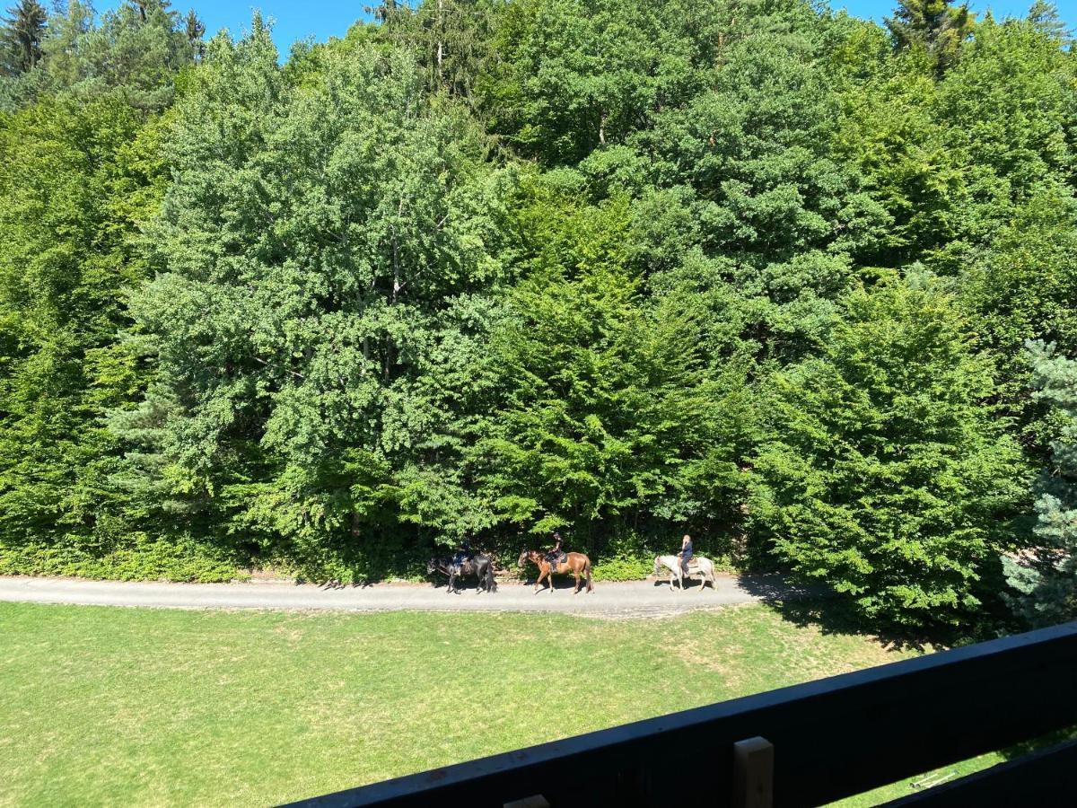 Apartman Na Kraji Lesa Vsemina Экстерьер фото
